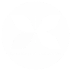 Selo XIS Logo